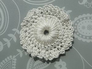 A white bloom lace flower. A white bloom lace flower.