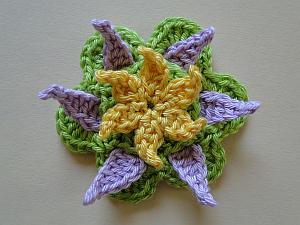 Sunpetal, Loopy Leaves, Longleaf