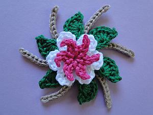 Pointy Loop Mini, Swirls, Leaves on a Round, Longlegs