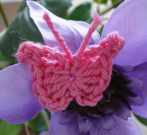 A pretty pink butterfly