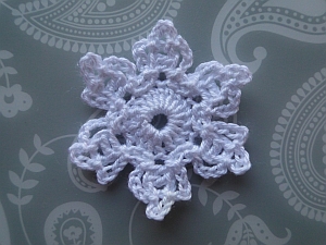 White Grace's Flower White Grace's Flower