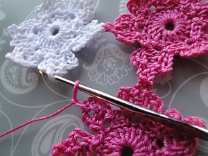 Joining into the white flower Joining into the white flower