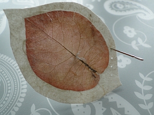 Leaf with paper border and a needle making holes into the margin