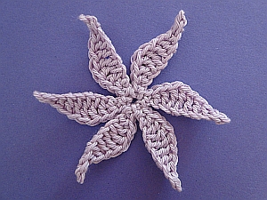 6 long leafed flower