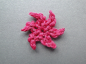 A small pink flower with six pointy petals