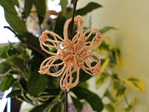 pink flower on a twig tree